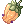 Unripe Fruit