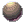 Cannon Ball