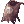 Skeleton Manteau