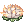 Flower Lily