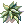 Samambaia