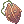Seed Of Thorny Plant