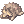 Raccoon Doll