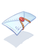 Examination 4
