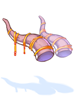 Ancient Horns