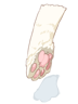 Paw of Cat