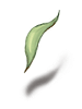 Evolved Leaf