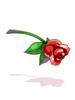 Crimson Rose