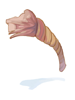 Decomposed Rope