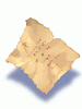 Treasure Map 1