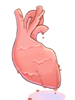 Immortal Heart